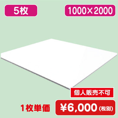 アートパネル 片面ホワイト(ツヤ有) 1000×2000 (5枚)(個人様宅配送不可)の商品画像