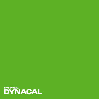 1本単位ダイナカルDCシリーズDC5013(マスカットグリーン)10mトーヨーケム