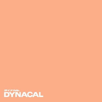 1本単位ダイナカルDCシリーズDC6027(アプリコット)10mトーヨーケム