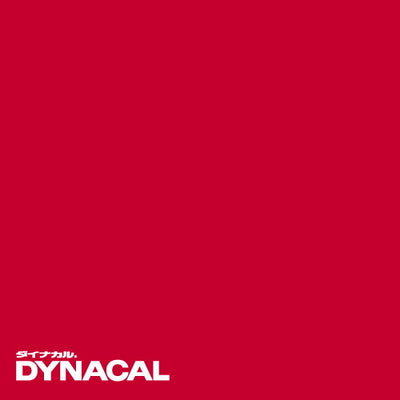 1本単位ダイナカルサインDSシリーズDS4867(プリンセス)10mトーヨーケム