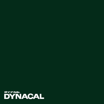 1本単位ダイナカルサインDSシリーズDS5802(ビリジャン)10mトーヨーケム