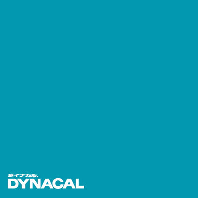 1本単位ダイナカルサインDSシリーズDS7811(ライトブルー)10mトーヨーケム