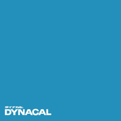 1本単位ダイナカルサインDSシリーズDS7867M(フラッシュブルー)10mトーヨーケム