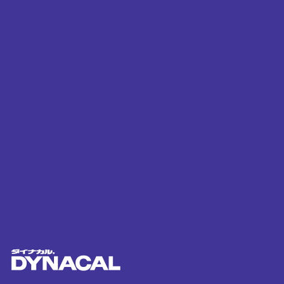 1本単位ダイナカルサインDSシリーズDS8819(アスター)10mトーヨーケム