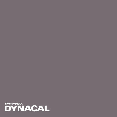 1本単位ダイナカルサインDSシリーズDS9824M(ストリートグレイ)10mトーヨーケム