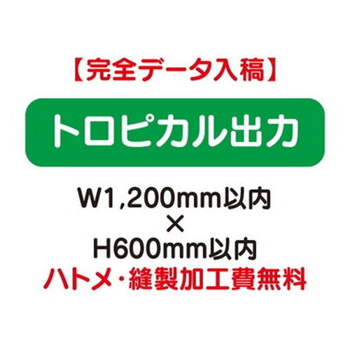 特注オーダー品トロピカル出力W1200×H600の商品画像