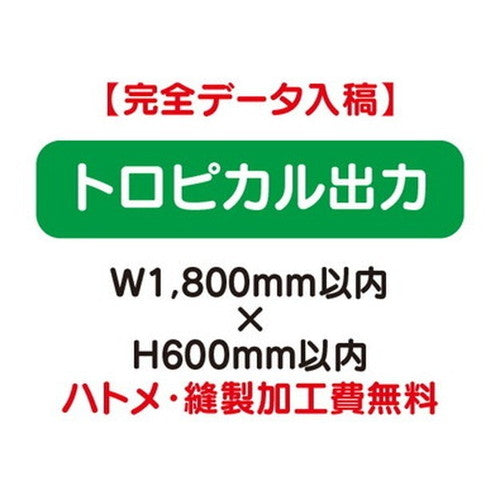 特注オーダー品トロピカル出力W1800×H600の商品画像