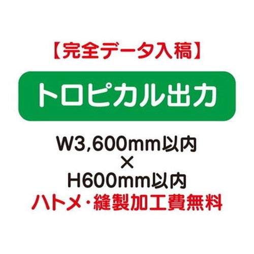 特注オーダー品トロピカル出力W3600×H600の商品画像