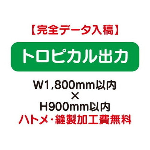 特注オーダー品トロピカル出力W1800×H900の商品画像