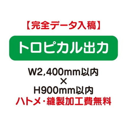 特注オーダー品トロピカル出力W2400×H900の商品画像