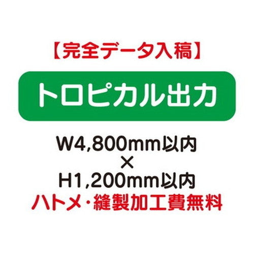 特注オーダー品トロピカル出力W4800×H1200の商品画像