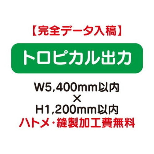 特注オーダー品トロピカル出力W5400×H1200の商品画像