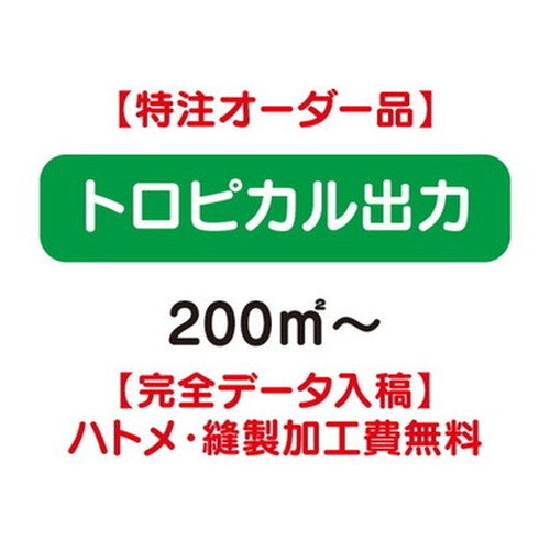 特注オーダー品トロピカル出力200㎡~の商品画像