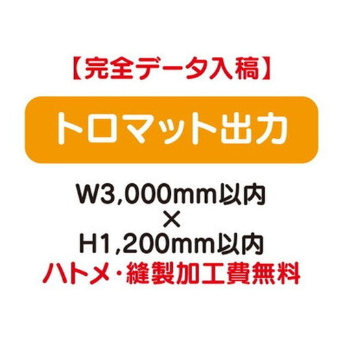 特注オーダー品トロマット出力W3000×H1200の商品画像