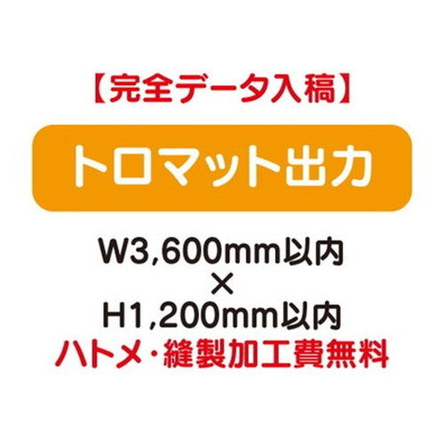特注オーダー品トロマット出力W3600×H1200の商品画像