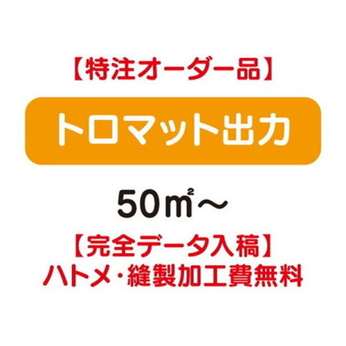 特注オーダー品トロマット出力50㎡~の商品画像
