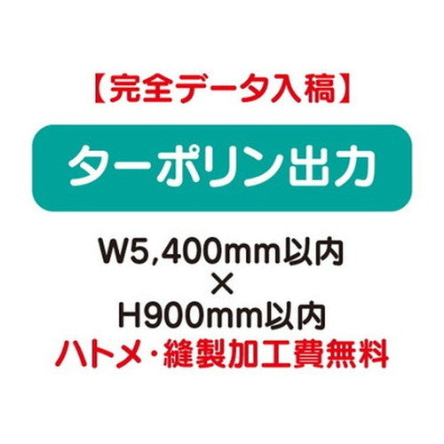 特注オーダー品ターポリン出力W5400×H900の商品画像