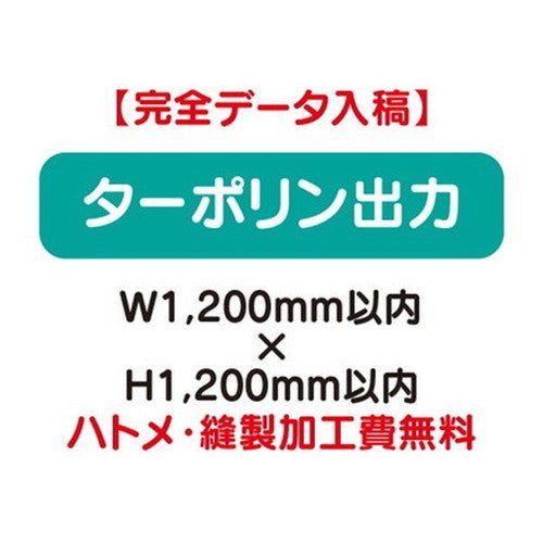 特注オーダー品ターポリン出力W1200×H1200の商品画像