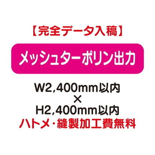 特注オーダー品メッシュターポリン出力W2400×H2400の商品画像