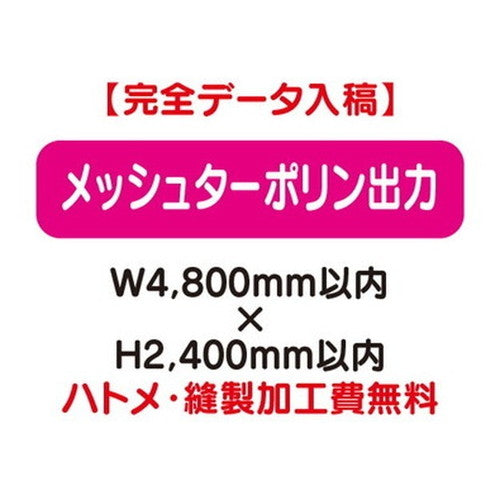 特注オーダー品メッシュターポリン出力W4800×H2400の商品画像
