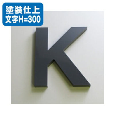 ステンレス箱文字塗装仕上げ文字H=300の商品画像