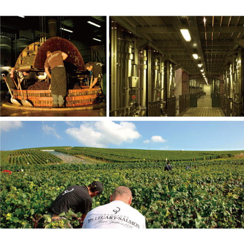 ビルカール サルモン ロゼ 並行品 箱無 750ml