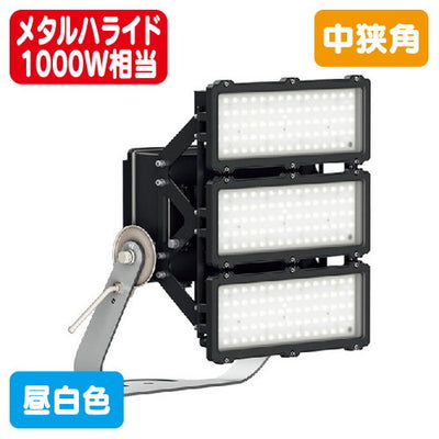 岩崎電気E39001MN/NSAJ2LED投光器レディオック