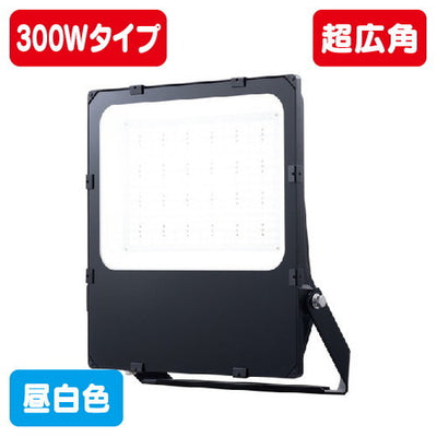 岩崎電気E30044SW/NSAN9/BKLED投光器レディオック