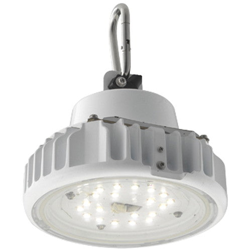 岩崎電気EQCL1002CSA9A高天井用照明レディオックシーリング低温対応形20Wタイプ(白熱電球用器具代替品)吊下形の商品画像