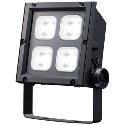 岩崎電気ECF17040SW/NSAN2/DGレディオックフラッドネオ170クラス超広角昼白色の画像