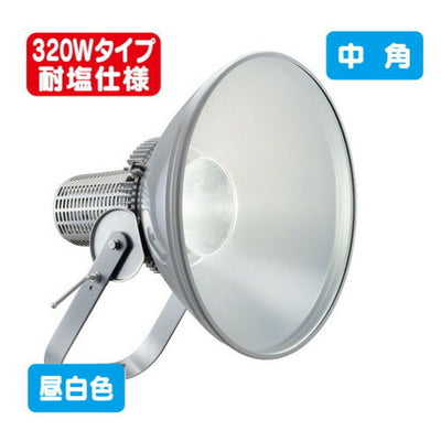 岩崎電気E30445M/NSAN2LED投光器レディオックフラッドスポラート