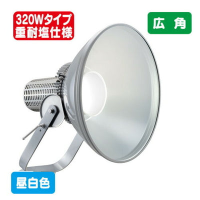 岩崎電気E30446W/NSAN2LED投光器レディオックフラッドスポラート