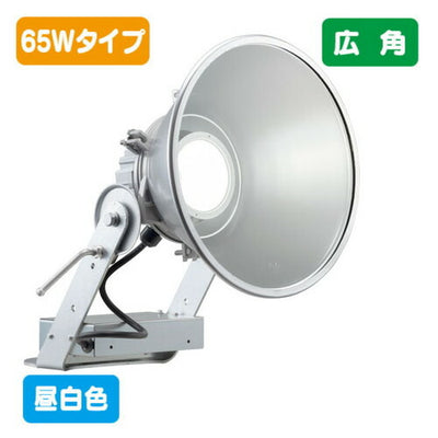 岩崎電気E30441W/NSAN9LED投光器レディオックフラッドスポラート