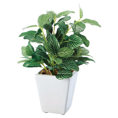 店舗用品演出用品ミニグリーンポット(フェイクグリーン)ペペロミアの商品画像