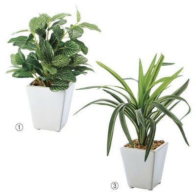 店舗用品演出用品ミニグリーンポット(フェイクグリーン)ドラセナの商品画像