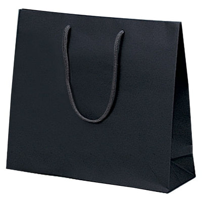 店舗用品ラッピング用品カラー手提げ紙袋黒無地33×10×29cmの商品画像
