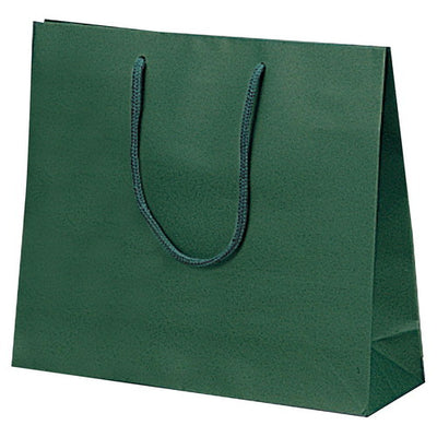 店舗用品ラッピング用品カラー手提げ紙袋グリーン33×10×29cmの商品画像