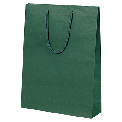 店舗用品ラッピング用品カラー手提げ紙袋グリーン33×10×45cmの商品画像