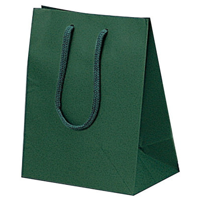 店舗用品ラッピング用品カラー手提げ紙袋グリーン20×12×25cmの商品画像