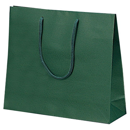 店舗用品ラッピング用品カラー手提げ紙袋グリーン33×10×29cmの商品画像