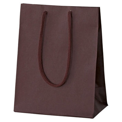 店舗用品ラッピング用品カラー手提げ紙袋ブラウン20×12×25cmの商品画像
