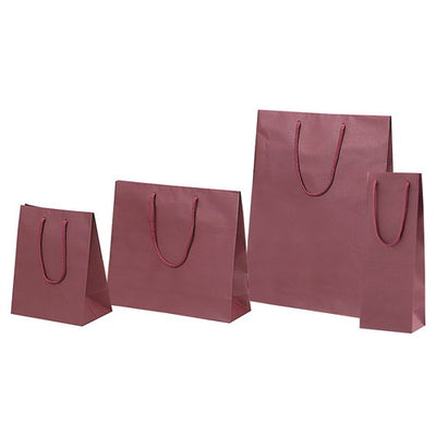 店舗用品ラッピング用品カラー手提げ紙袋エンジ20×12×25cmの商品画像