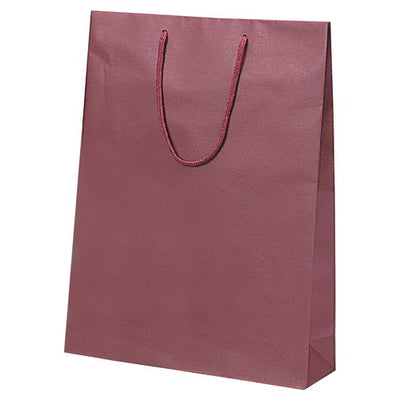 店舗用品ラッピング用品カラー手提げ紙袋エンジ33×10×45cmの商品画像