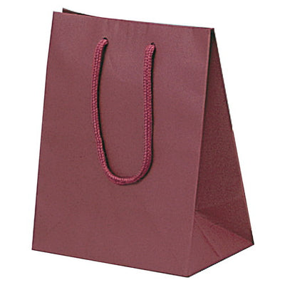 店舗用品ラッピング用品カラー手提げ紙袋エンジ20×12×25cmの商品画像