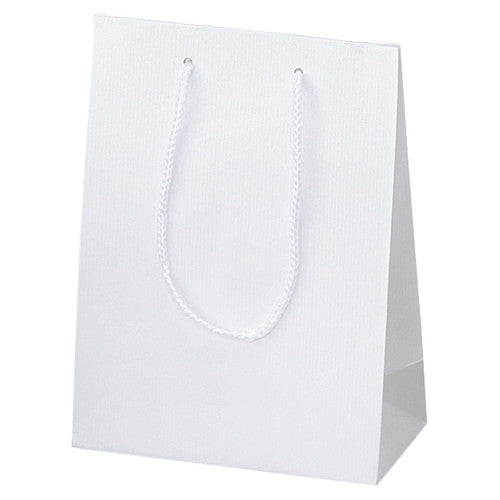 店舗用品ラッピング用品手提げ紙袋白ストライプエンボス17×8.5×23cmの商品画像