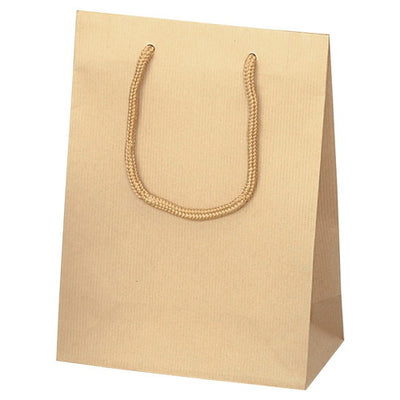 店舗用品ラッピング用品手提げ紙袋クラフトストライプエンボス17×8.5×23cmの商品画像