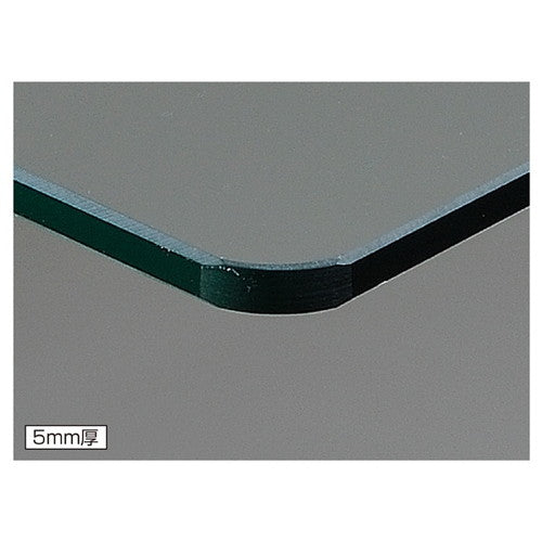 10R ガラス棚セットW120cm×D20cm インハングタイプ 5mm厚 (1セット) kp38-36-15-1