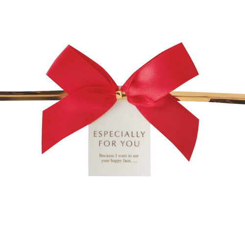 店舗用品ラッピング用品リボン付きワイヤータイモチーフ付きレッドリボンの商品画像