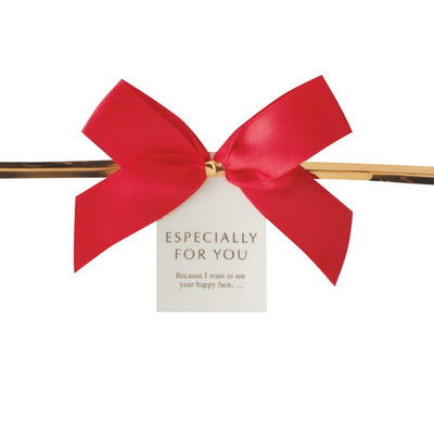 店舗用品ラッピング用品リボン付きワイヤータイモチーフ付きレッドリボンの商品画像