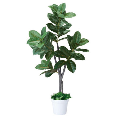 店舗用品演出用品人工樹木H150cm(フェイクグリーン)ゴムの木の商品画像